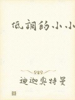 低调的小小宫女