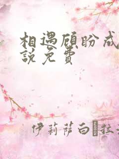 相遇顾盼成欢小说免费