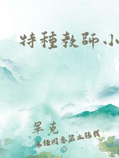 特种教师小说