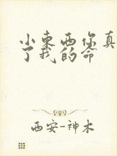 小东西你真能要了我的命