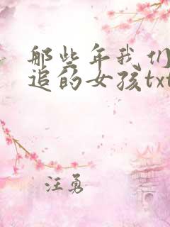 那些年我们一起追的女孩txt