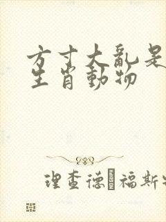 方寸大乱是什么生肖动物