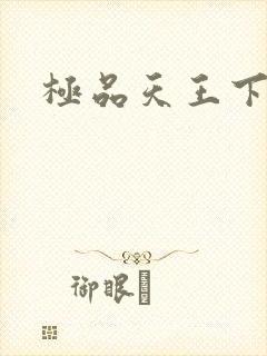 极品天王下载