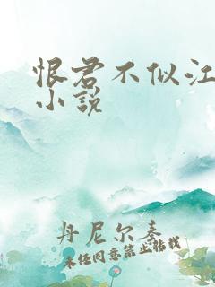 恨君不似江楼月小说