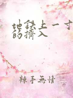 地铁上一寸一寸的挤入