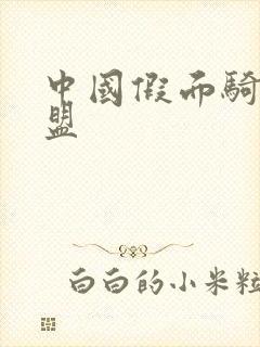 中国假面骑士联盟