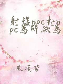 射爆npc对npc为所欲为的世界