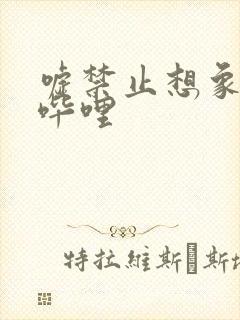 嘘禁止想象哔哩哔哩