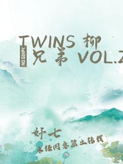 TWINS 柳澤兄弟 VOL.2