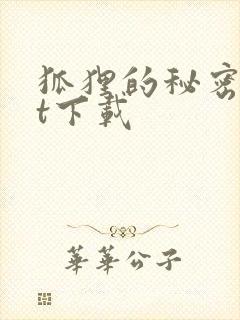 狐狸的秘密txt下载