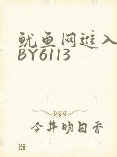 鱿鱼网进入官网BY6113