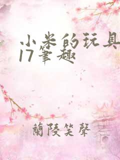 小米的玩具日记17笔趣