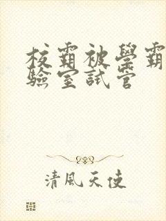 校霸被学霸压实验室试管