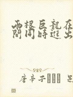 两根巨龙在她腿间同时进出