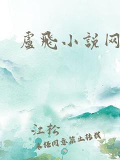 卢飞小说网