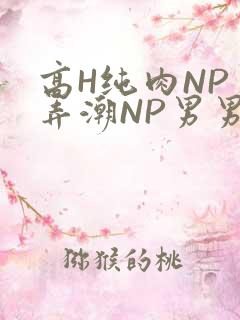 高H纯肉NP 弄潮NP男男