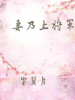 妻乃上将军下载