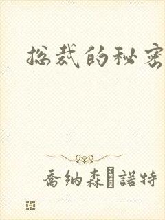 总裁的秘密娇妻