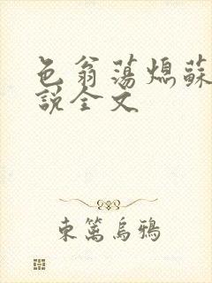 色翁荡熄苏钥小说全文