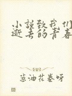 小说致我们终将逝去的青春