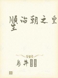 顺治朝之皇后重生