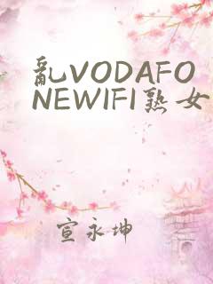 乱VODAFONEWIFI熟女