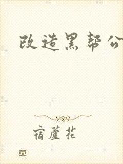 改造黑帮公主