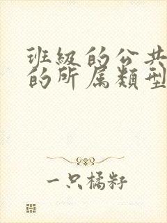 班级的公共小0的所属类型