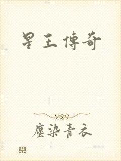 星王传奇