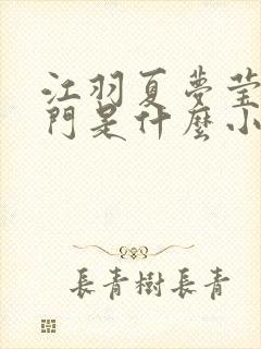 江羽夏梦莹神谕门是什么小说