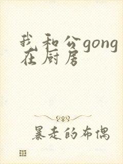 我和公gong在厨房