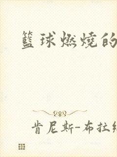 篮球燃烧的岁月