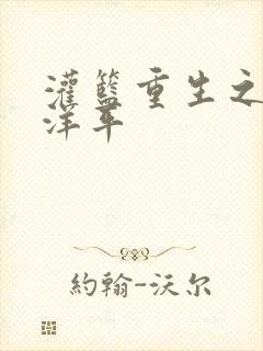 灌篮重生之水户洋平