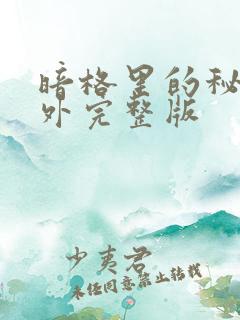 暗格里的秘密番外完整版