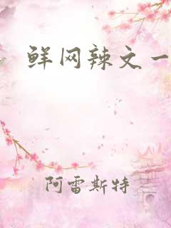 鲜网辣文一对一