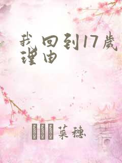 我回到17岁的理由