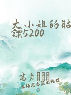 大小姐的贴身保镖5200