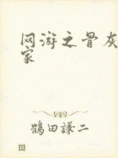 网游之骨灰级玩家