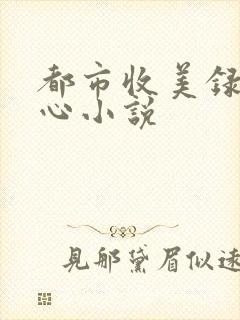都市收美录宁素心小说