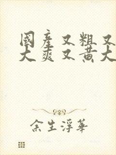 国产又粗又猛又大爽又黄大爷