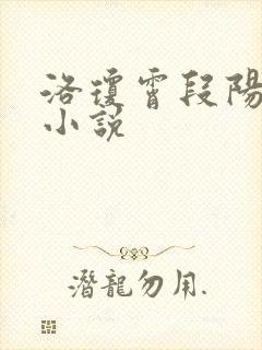 洛琼霄段阳澍的小说