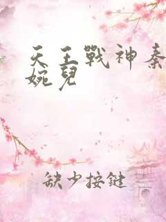 天王战神秦武林婉儿