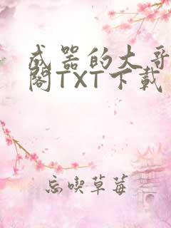 成器的大哥笔趣阁TXT下载