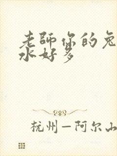 老师你的兔子软水好多