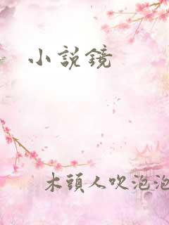 小说镜