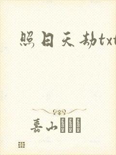 照日天劫txt