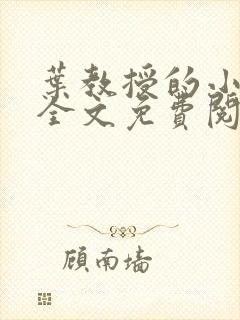 叶教授的小黏糖全文免费阅读