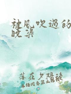 被风吹过的夏天晓渠