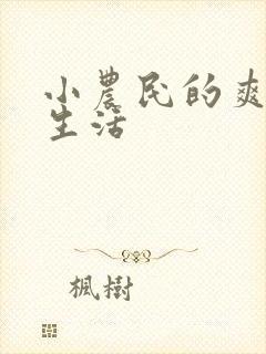 小农民的爽歪歪生活