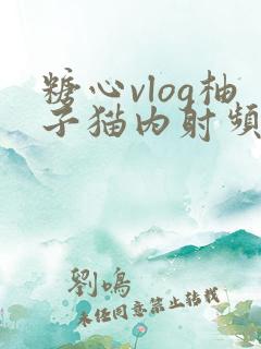 糖心vlog柚子猫内射频